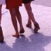 Legs
